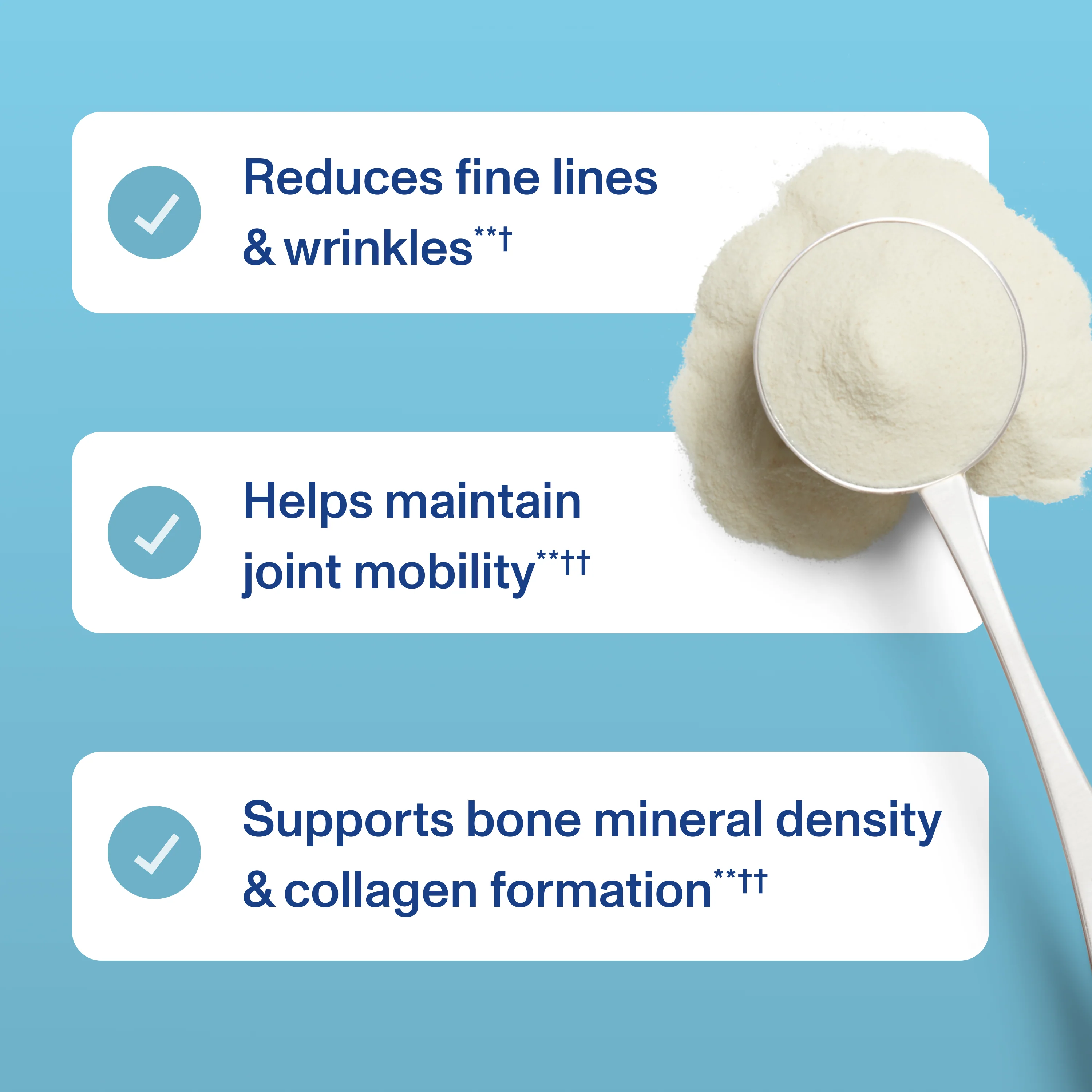 Daily Foundational Support - Unflavored - Image 6