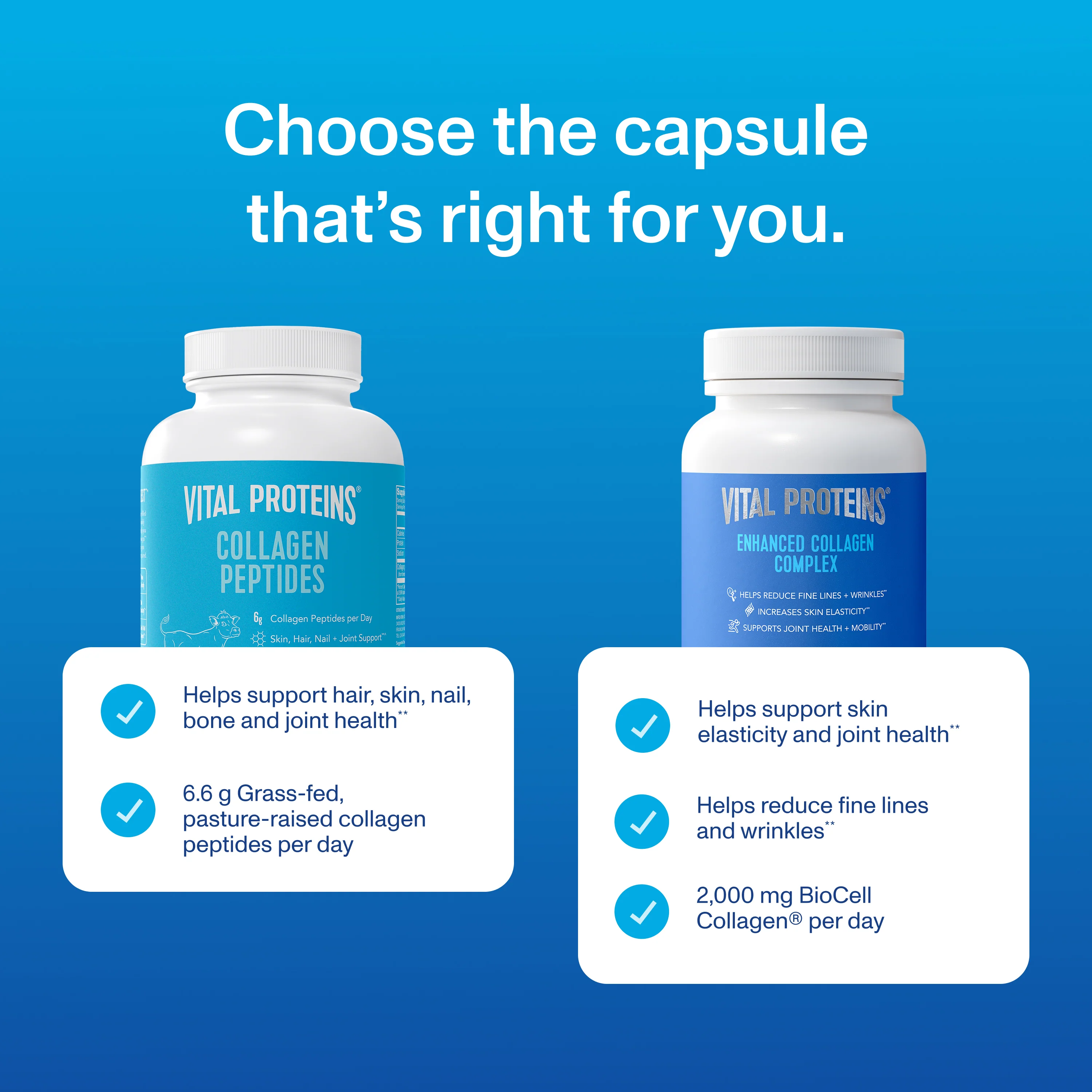 Enhanced Collagen Complex - Image 3